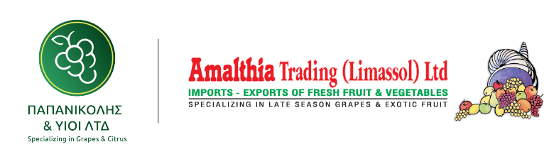 combination logo